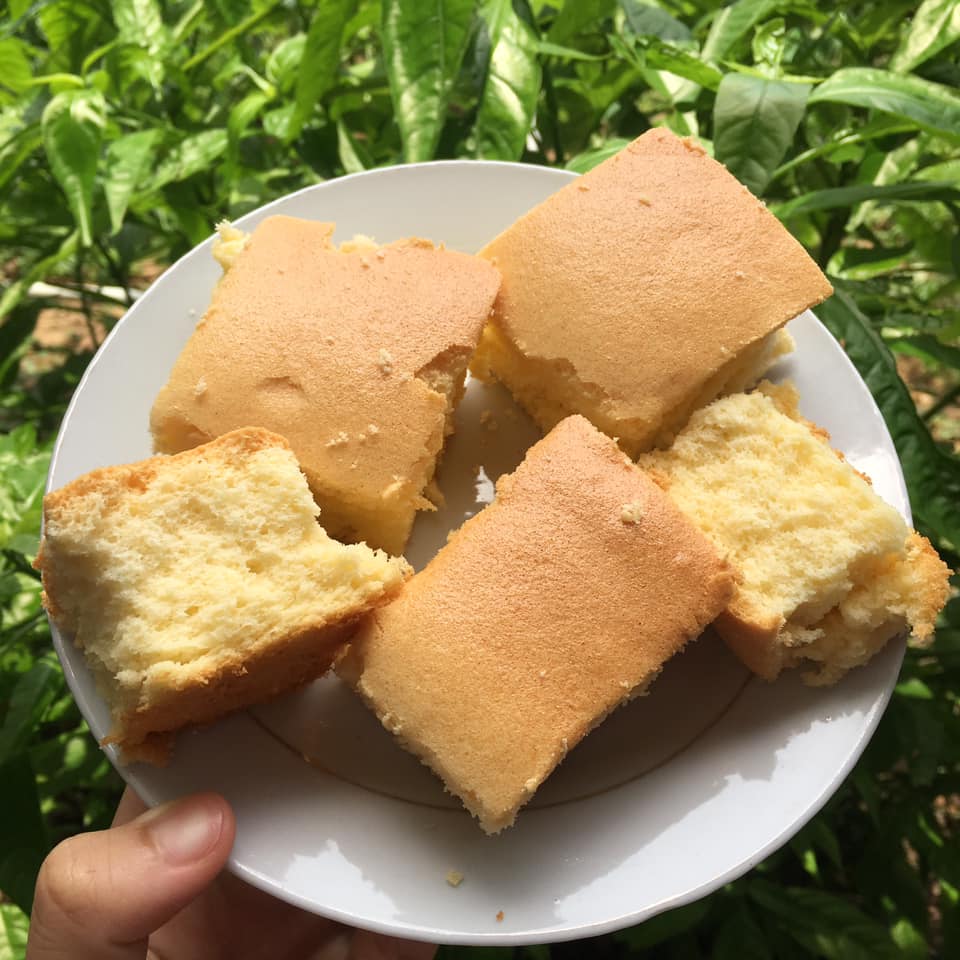 Làm bánh ga tô Hồng Kông (Sponge cake) công thức mềm mịn, nhẹ xốp